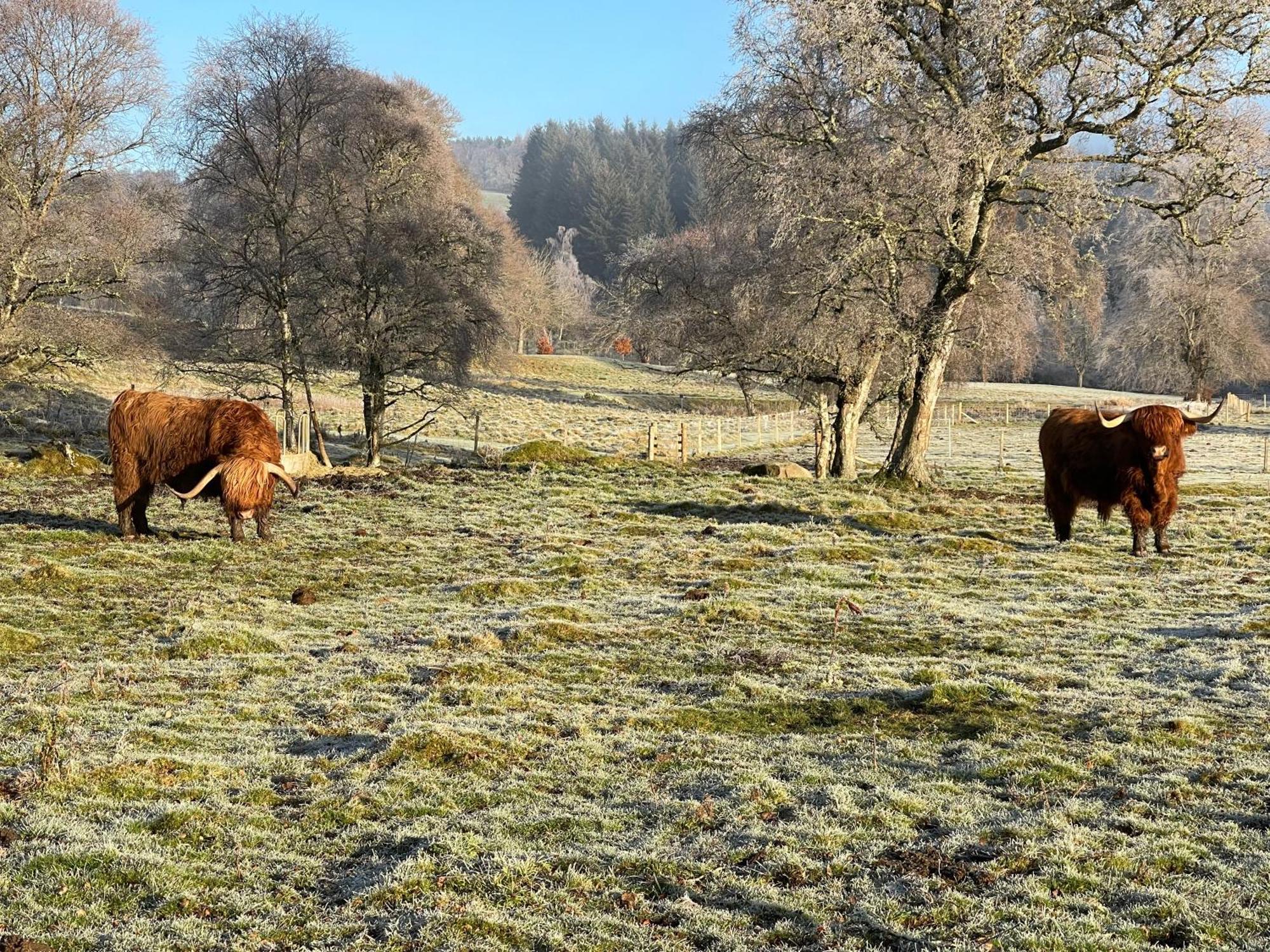 Coppice Cottage Grantown-on-Spey المظهر الخارجي الصورة