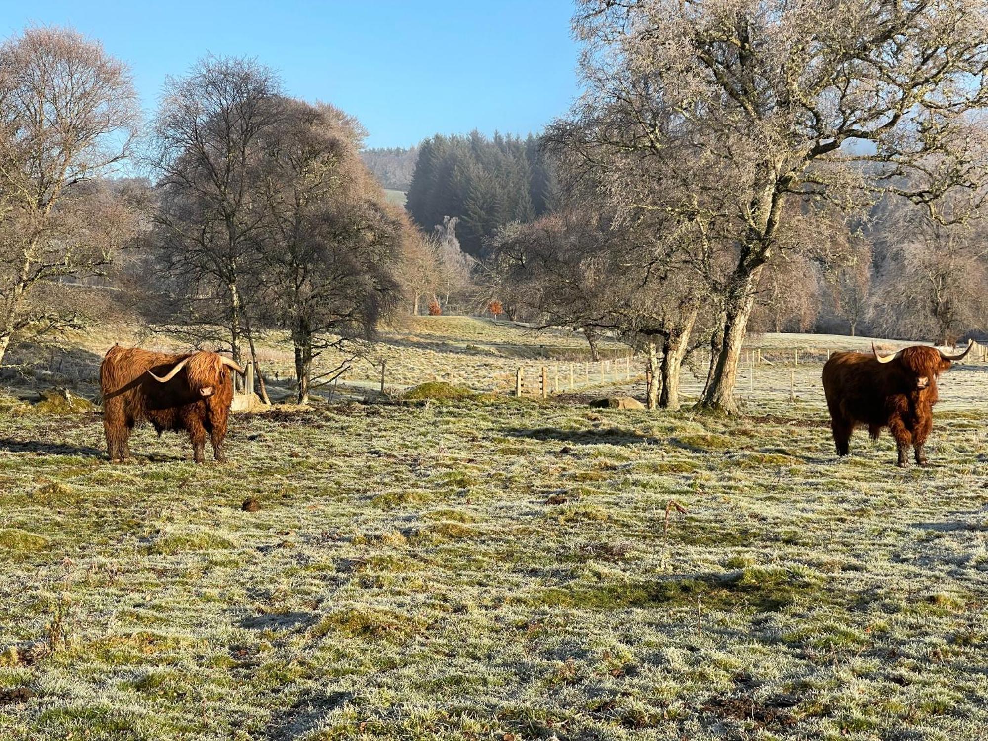Coppice Cottage Grantown-on-Spey المظهر الخارجي الصورة