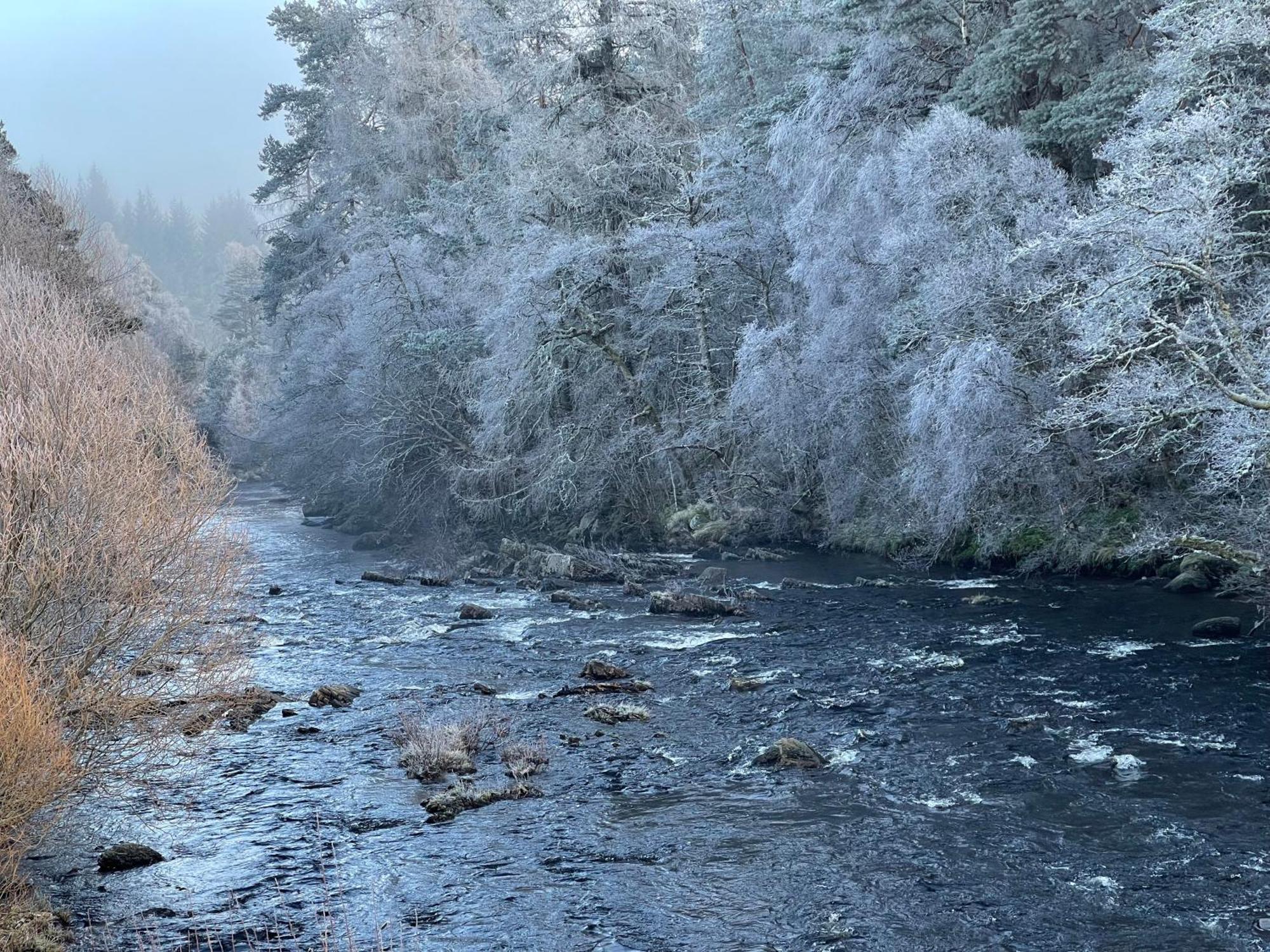 Coppice Cottage Grantown-on-Spey المظهر الخارجي الصورة