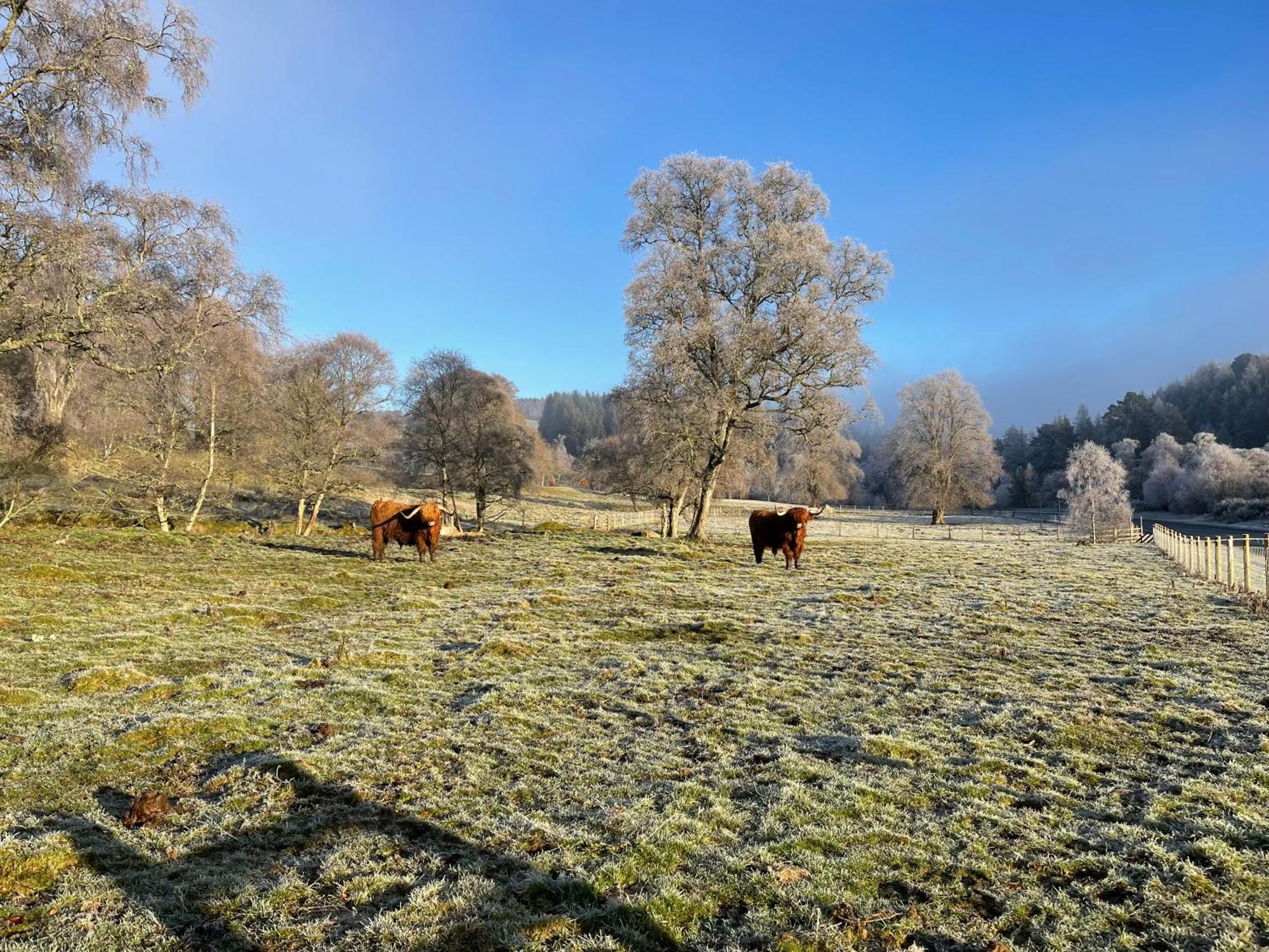 Coppice Cottage Grantown-on-Spey المظهر الخارجي الصورة