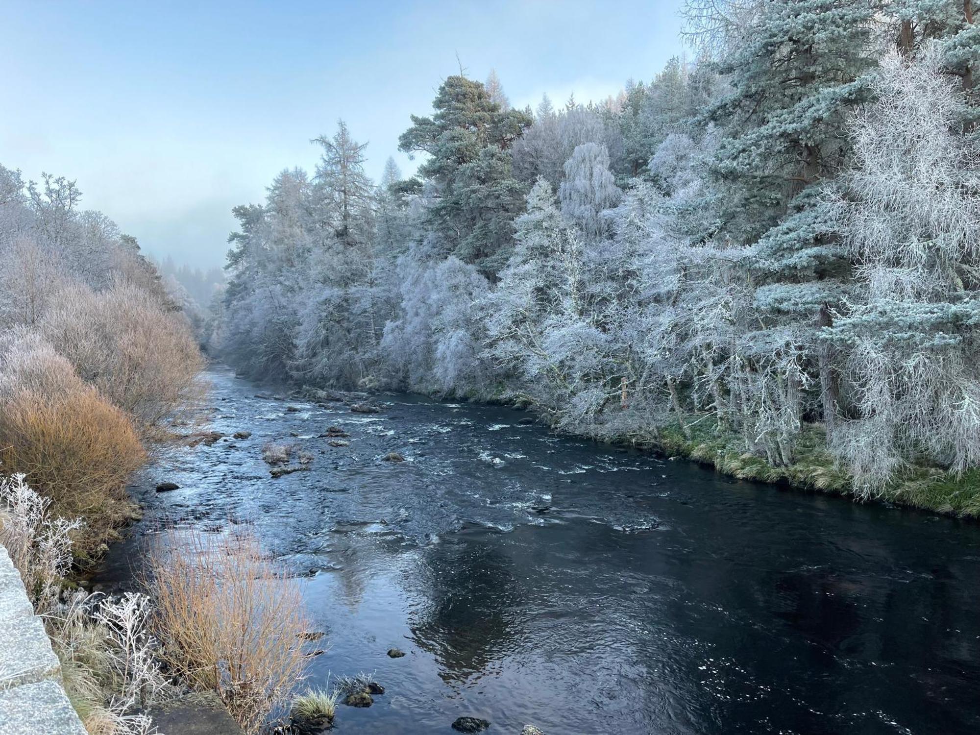 Coppice Cottage Grantown-on-Spey المظهر الخارجي الصورة