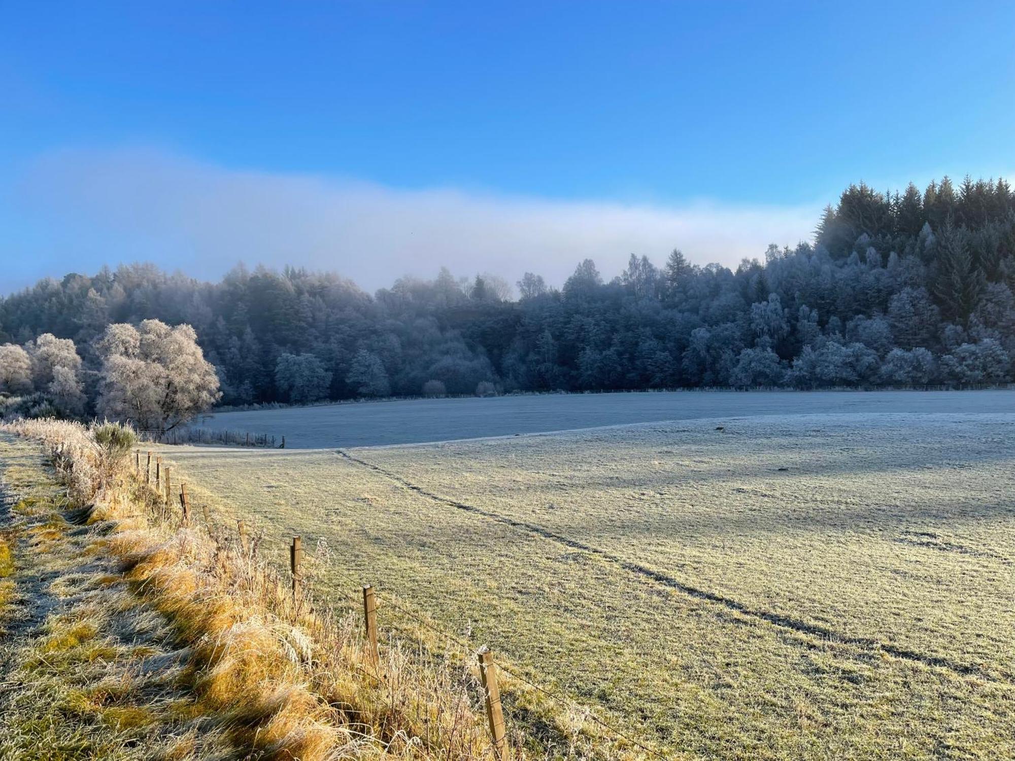 Coppice Cottage Grantown-on-Spey المظهر الخارجي الصورة