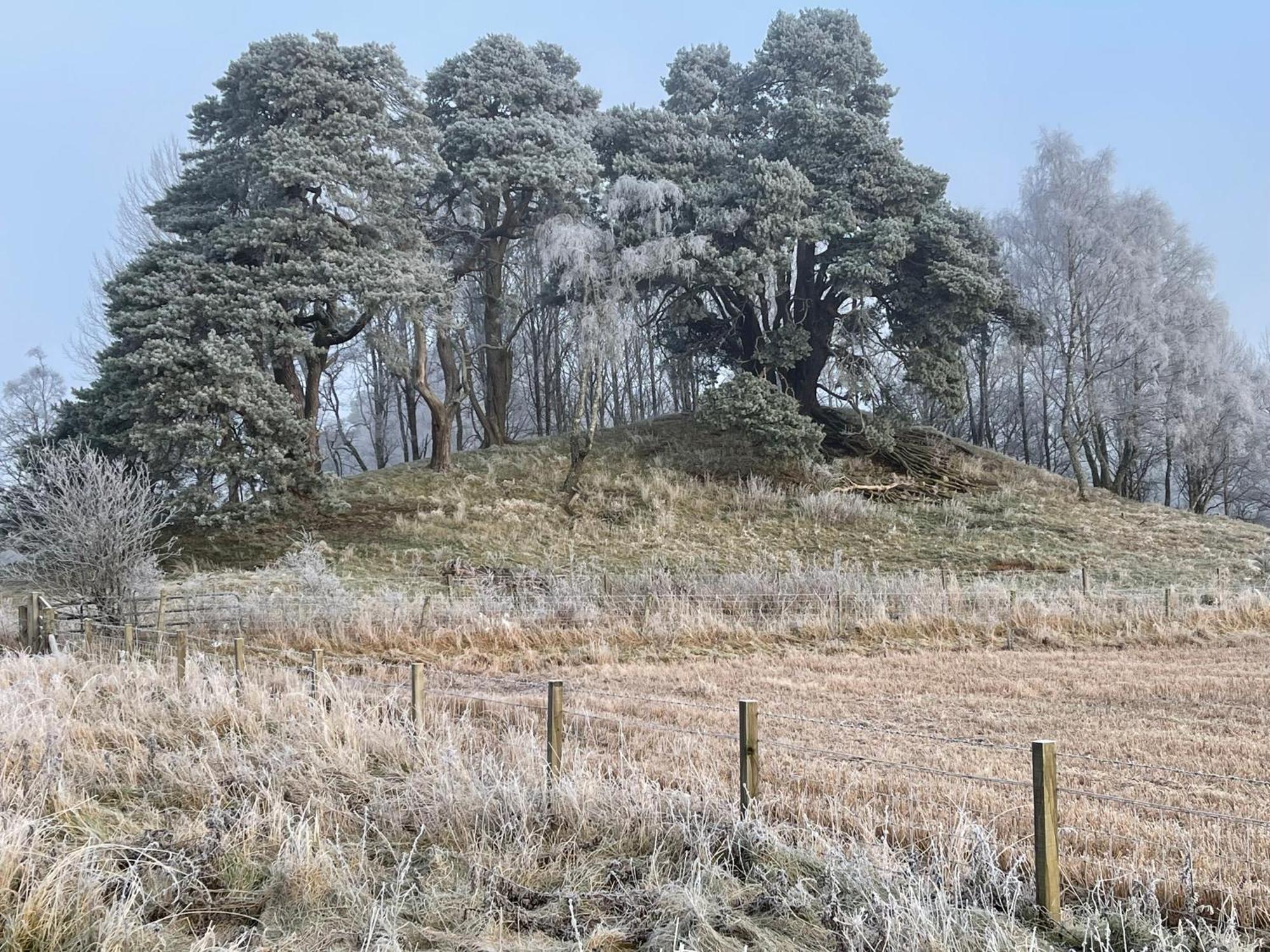 Coppice Cottage Grantown-on-Spey المظهر الخارجي الصورة