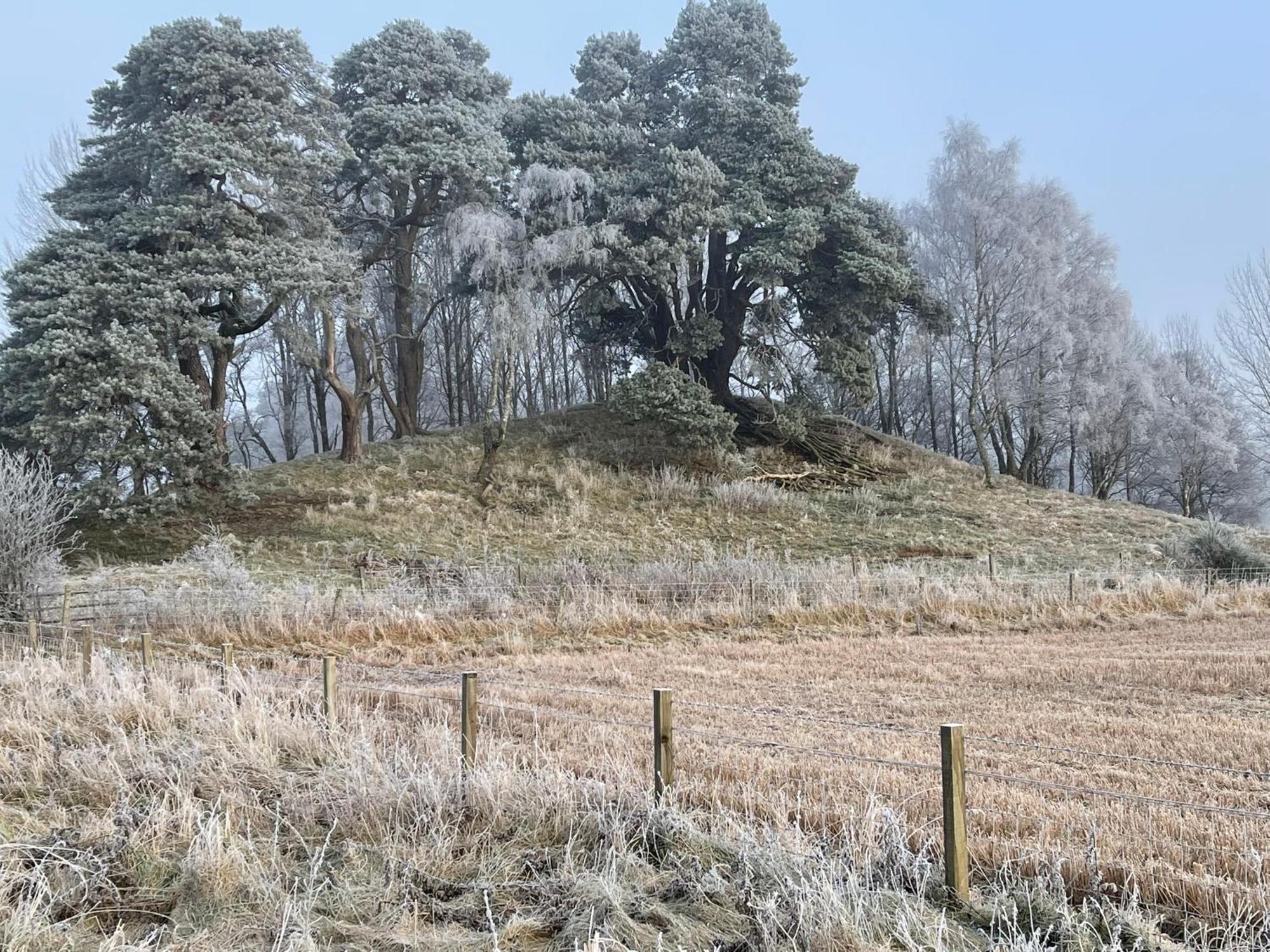 Coppice Cottage Grantown-on-Spey المظهر الخارجي الصورة