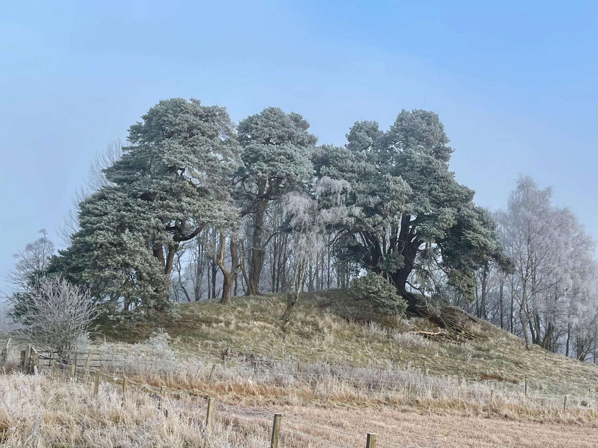 Coppice Cottage Grantown-on-Spey المظهر الخارجي الصورة