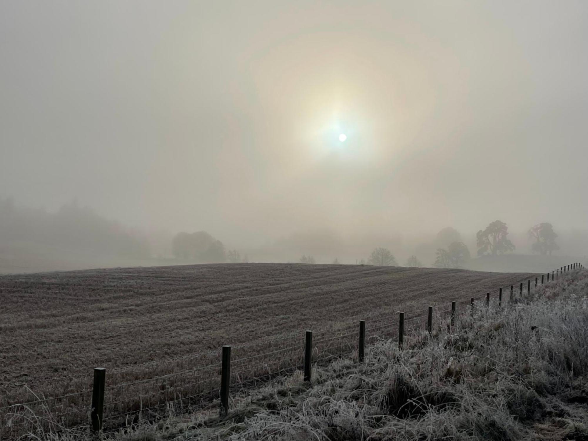 Coppice Cottage Grantown-on-Spey المظهر الخارجي الصورة